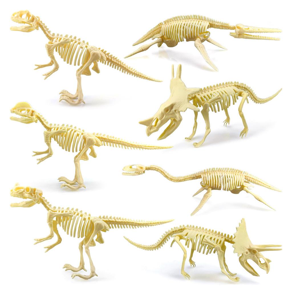 Fossil Dinosaur Skeleton Model With Plastic Material For Kids Educational Decor