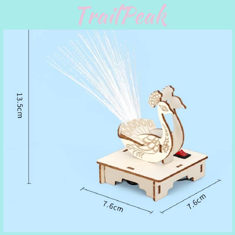 Childrens Peacock Display Science Experiment Kit With Diy Electric Toy For Learning And Creativity