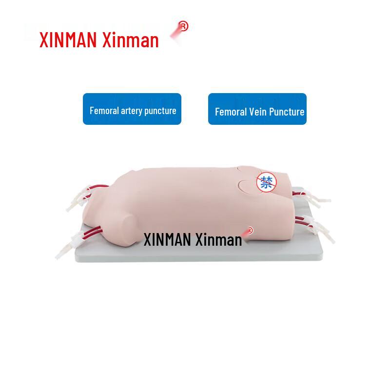 Xinman XM-ETG11 Тренировочная модель для пункции бедренной артерии у детей
