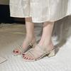 Fashion two-wear thick-heeled high-heeled shoes for women, versatile and simple commuter sandals 2025 summer and autumn new Korean version of rhine