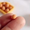 Miniature egg carton simulation decoration 1:12 dollhouse kitchen accessories shooting scene props, decorative ornaments