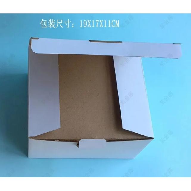 Cat kidney pathological health anatomical model feline pet teaching AIDS Veterinary medical model