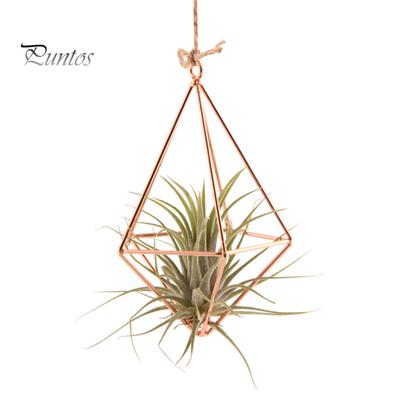 Stazioni di propagazione Terrario in vetro Pianta Forma geometrica Pianta in ferro Supporto per piante ad aria Decorazione per ufficio a casa