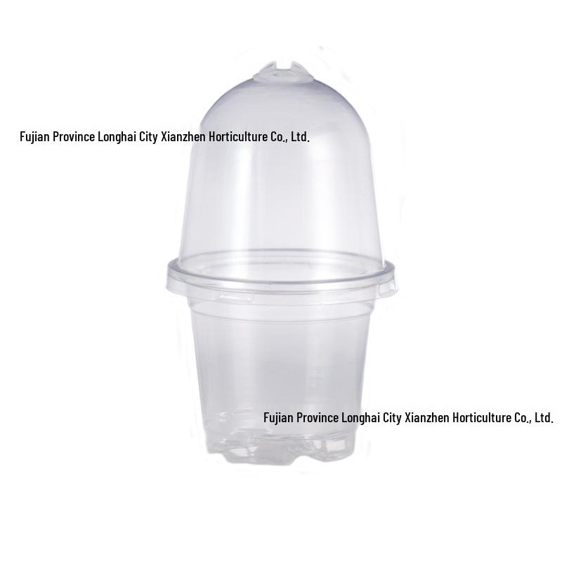 Two-Color Transparent Flower Pot with Lid - Durable, Breathable, Moisture-Retaining Seedling Cup for Heat Preservation