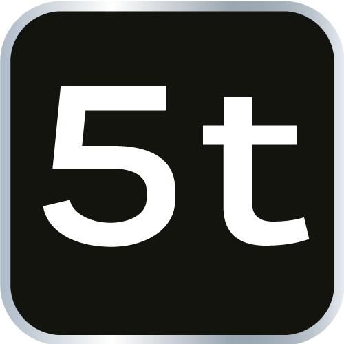 Chain hoist 5 t, 3 m