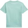 Polo Ralph Lauren Cotton Knit Crew Neck Embroidered Pony Logo Short Sleeve T-Shirt Kids tops Cerulean-Green 323832904-506
