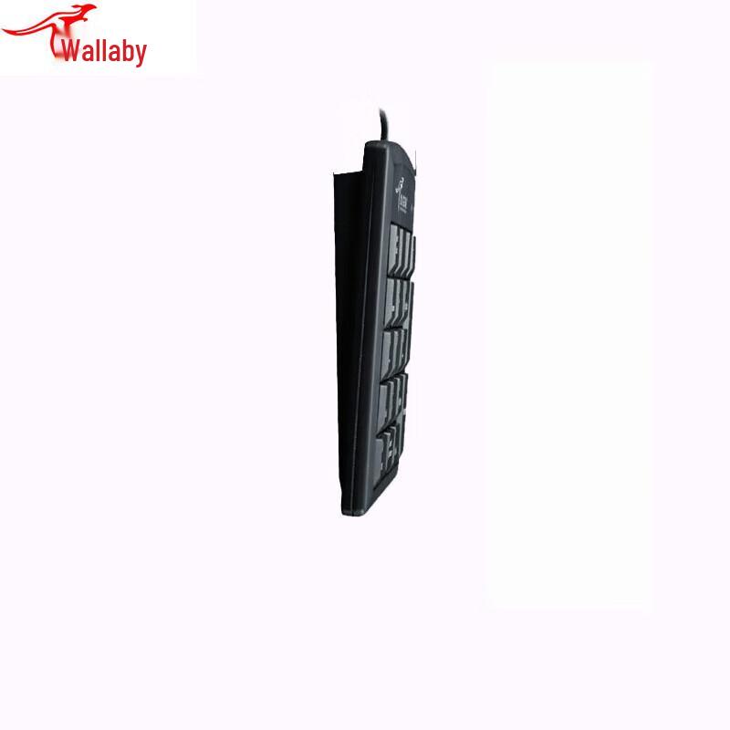 

Little Kangaroo DS-9018 18-Key USB Numeric Keypad