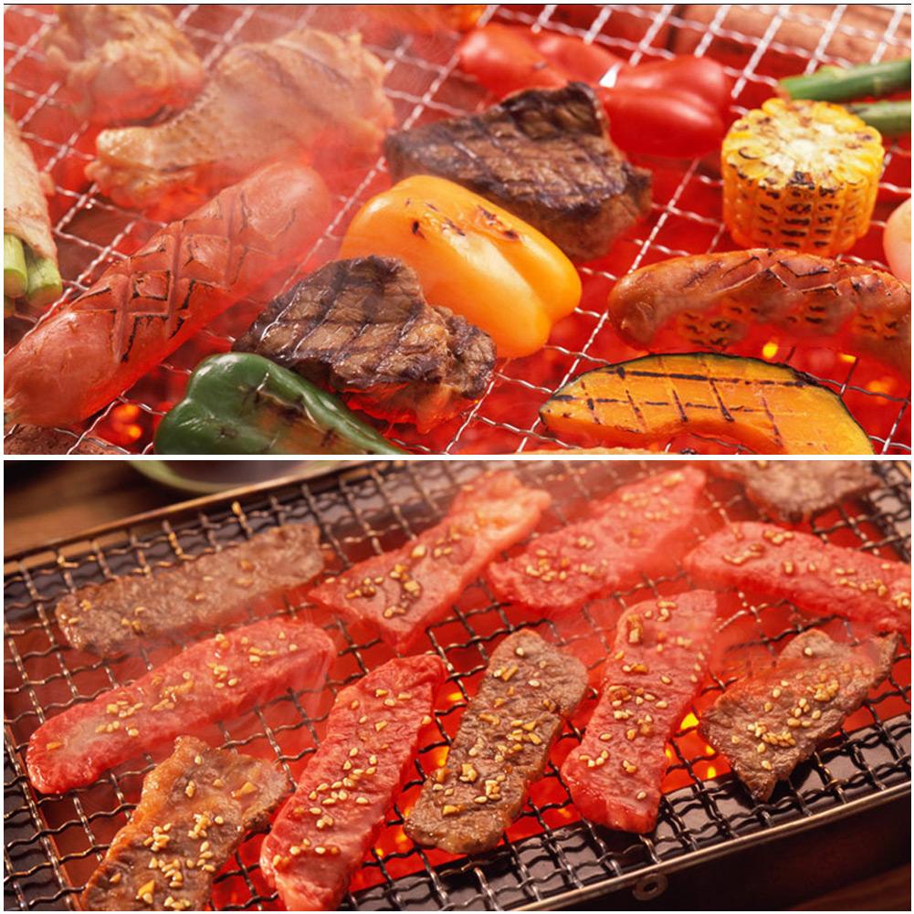 Multipurpose Stainless Steel Baking Wire Mesh Grill BBQ Net Mesh Barbecue Racks Picnic Tool