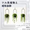 Hanging with for Balcony or Balcony Use Planter, Iron, Hooks, Wall-Mounted (Large, Round)