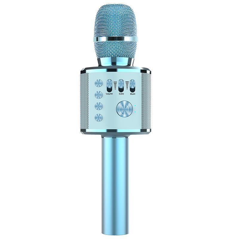 Wireless Home Karaoke Microphone for Kids with Built-in Speaker