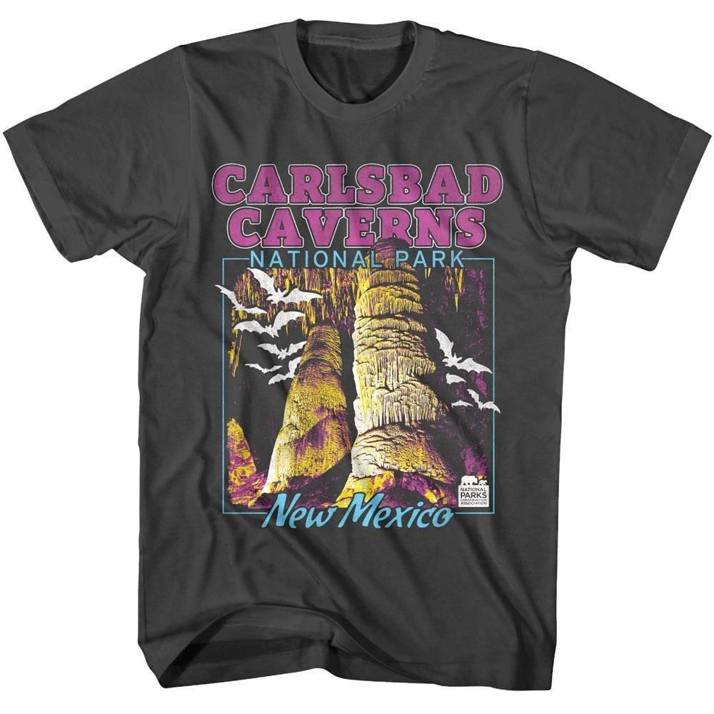 Carlsbad Caverns New Mexico Men T Shirt M
