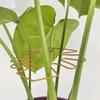 Artistic Metal Plant Cage Stabilizer Stand For Potted Plant Stable Ground Anchoring System Garden Decoration Accessories