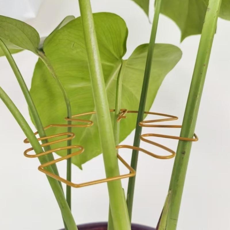 Artistic Metal Plant Cage Stabilizer Stand For Potted Plant Stable Ground Anchoring System Garden Decoration Accessories