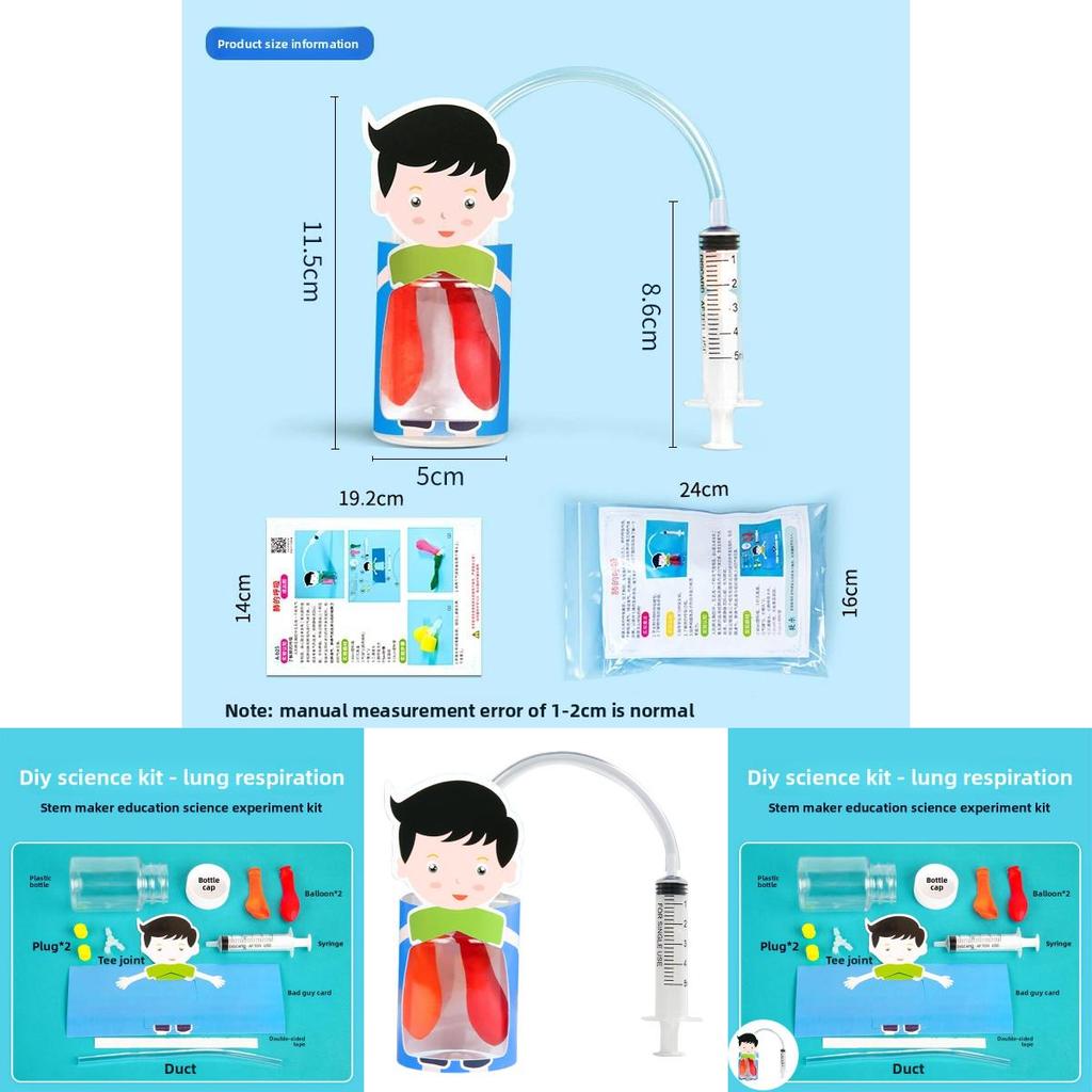 Kids Diy Physiology Model Of Lung Movement For Science Education And Handson Learning
