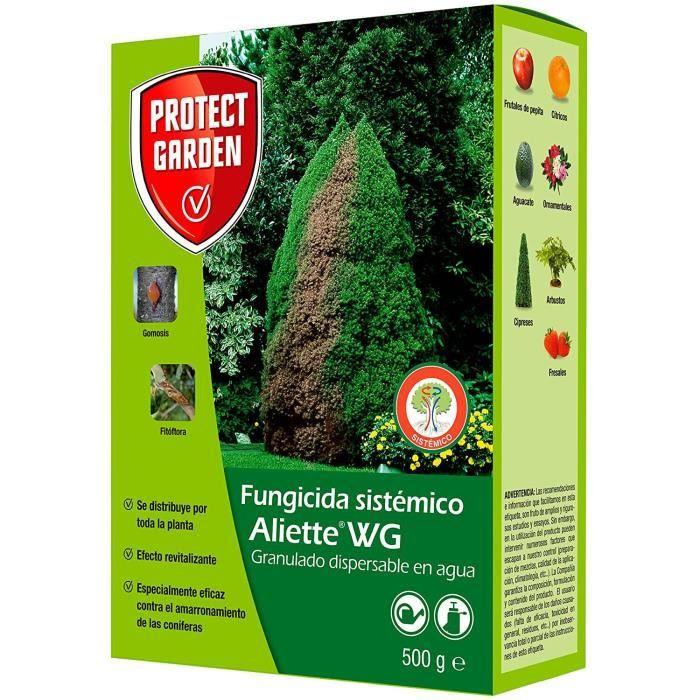 BAYER ALIETTE WG – FUNGICIDA preventivo-curativo 500G PER PRATO E TUTTI I GIARDINI verde
