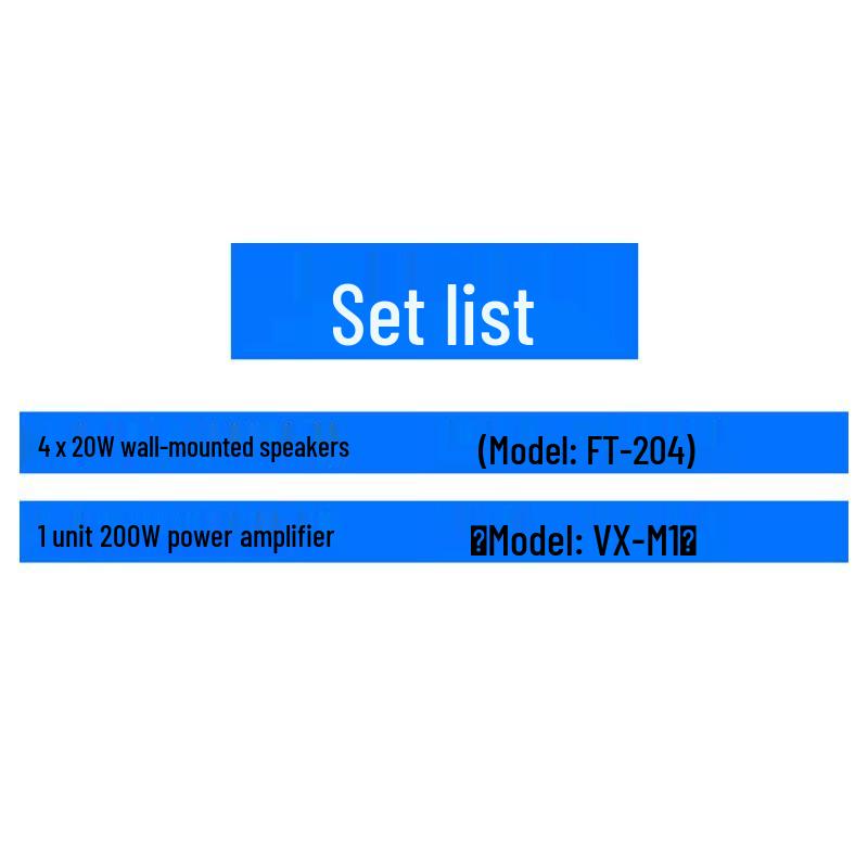 Lingsheng Professional PA System with 200W Amplifier and 4 Wall Speakers CN plug (adapter included)