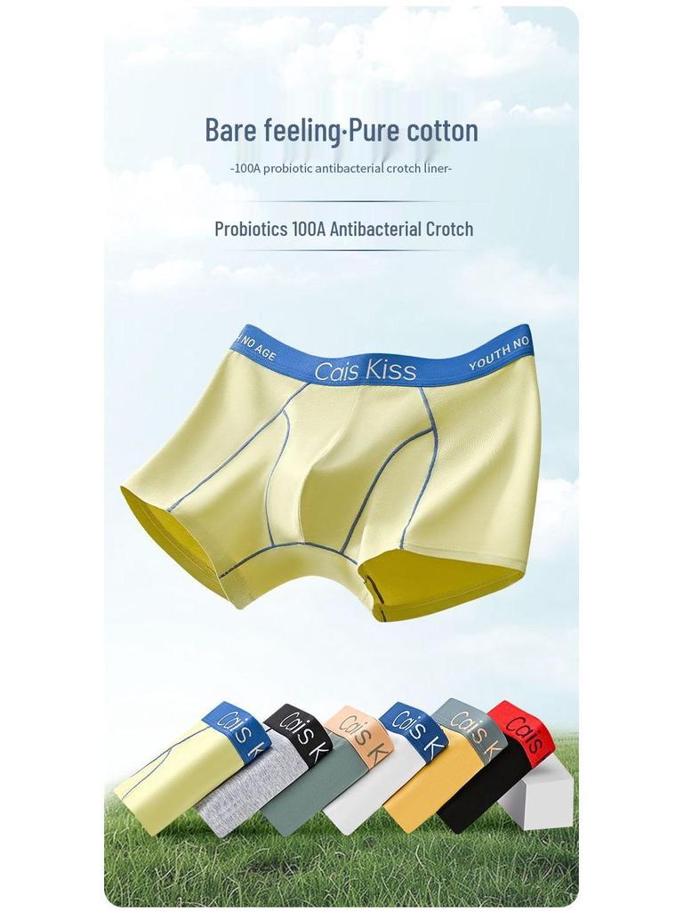 Anti-Bacterial Cotton Boxer Briefs for Boys and Men