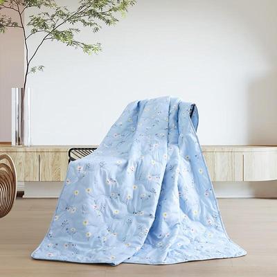 Mengjie Leijiana Soft Summer Quilt