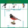 Realistic Pvc Bird Model Collection Includes Dove Magpie Cuckoo Sparrows For Decor