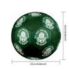 SE Palmeirasfootball clubIndoor Size 5 Soccer Ball Colorful Machine Stitched PVC Competition Ready Durable High-Bounce