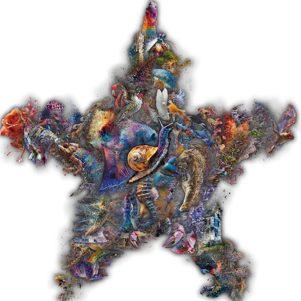 

50PCS Research on Deformation Motion Stickers Laptop Stationary Bicycle Laptop Luggage Coffee Room Guitar DIY Waterproof Sticker