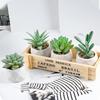 Nordic Green Artificial Bonsai Succulents – Indoor Desktop Decoration Potted Plants