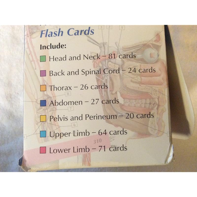 Netter` Anatomy Flash Cards Using the