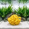 Honeycomb Cave Decor Aquarium Shrimp Cave, 3D Printed Betta Hide, Fish Tank Hideout Hideout, Porous Sphere Shelter for Guppy Small Accessories
