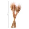 50pcs Natural Dried Wheat Stalks Rustic Elegance Dry Wheat Spikes DIY Craft Dried Flowers Home Kitchen Decoration