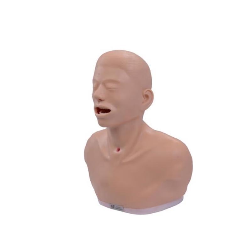 Kangren Throat Examination Model KAR/LV52