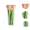 Clips for Food Storage - Set of 5