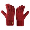 Men's winter double-layer gloves, warm and cold-proof, piled and thickened wool, knitted acrylic fabric
