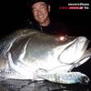Daiwa Morethan Ray J156S Real Konoshiro 156mm Fishing Lure Soft Bait