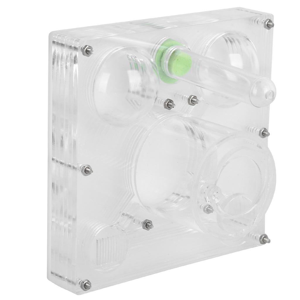 Acrylic Ant Breeding Box Transparent Watching Feeding Case Ants House Toy for Children