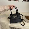 New Spring and Summer Bag Korean Style Handbag Ins Large Bag Versatile Chain Single Shoulder Crossbody Bag Small Square Bag
