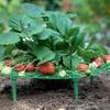 Înverzire şi amenajare – Susținere plante