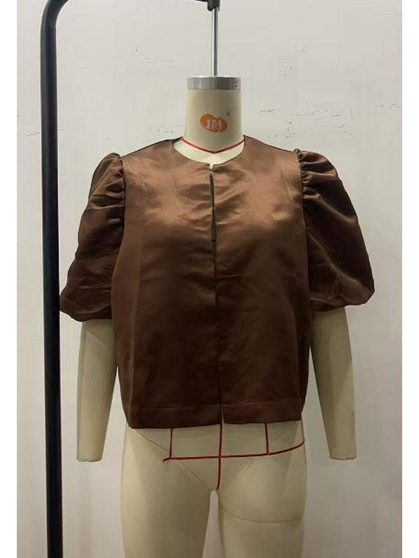 2025 Spring/Summer Satin Puff Sleeve Casual Top for Women