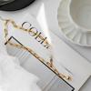 Gold Paperclip Necklace Adjustable Sweater Chain Necklace Metal Choker Necklace  Women's Jewelry