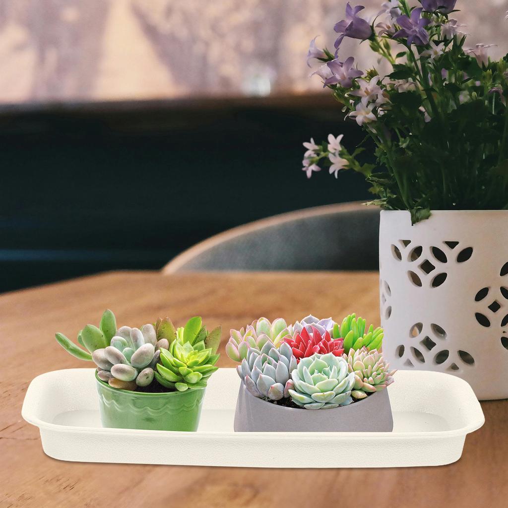 3Pcs Professional Flowerpot Water Trays Sturdy Plastic Gardening Flowerpot Bottom Trays Anti-Leakage Plant Pot Water Plates
