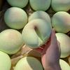 1Pcs Soft Stress Relief Slow Rising Sensory  Toys  Simulated Bread Squeeze Toy For Anxiety Adhd Autism Gifts