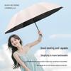 Extra-Large Three-Fold Umbrella for Men & Women - 12-Bone, Dual-Use for Sun & Rain, Fits Up To Three People