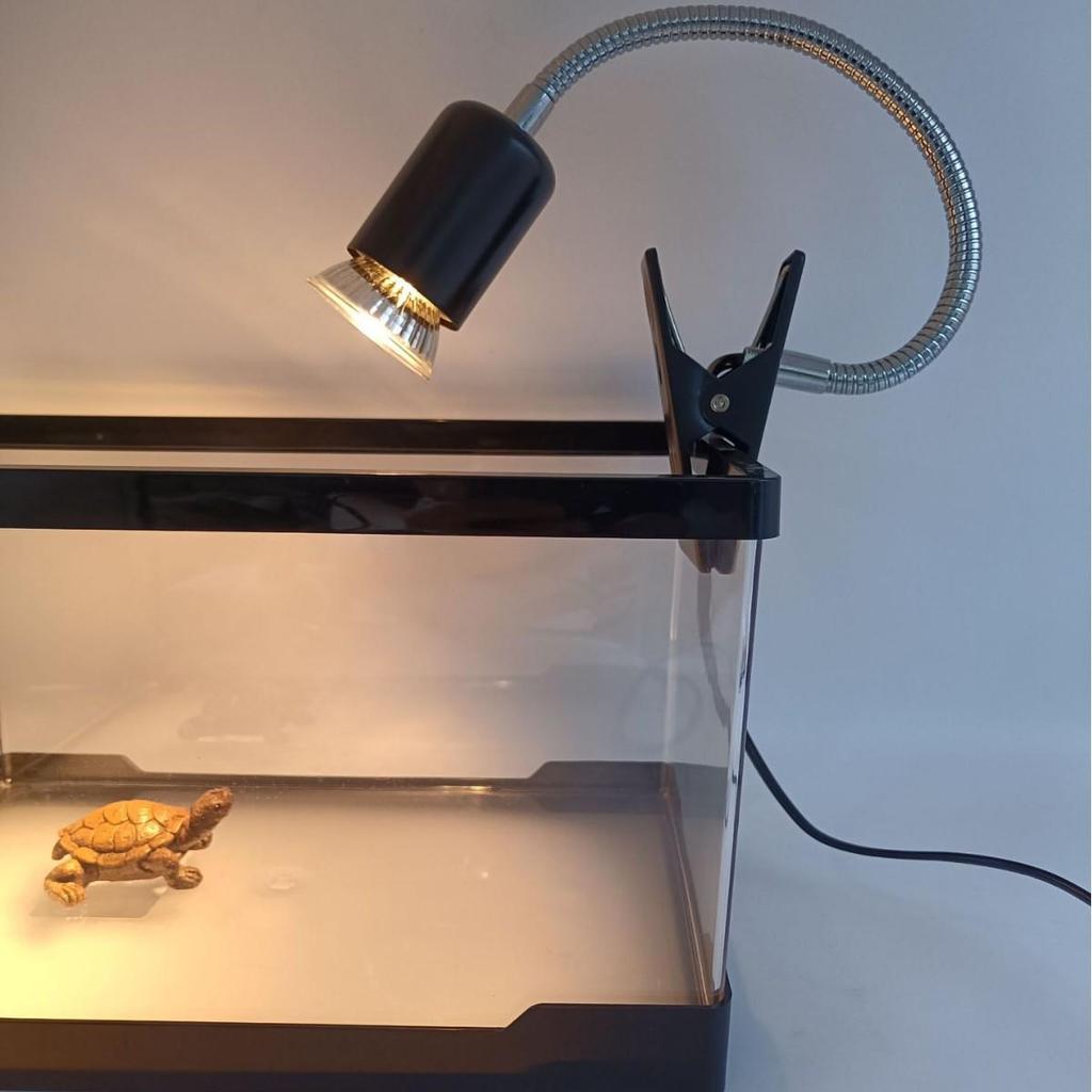 Doppelstecker Reptilienwärmelampe: Schildkröten Sonnenplatz- & Kalziumergänzungslampe für US/EU