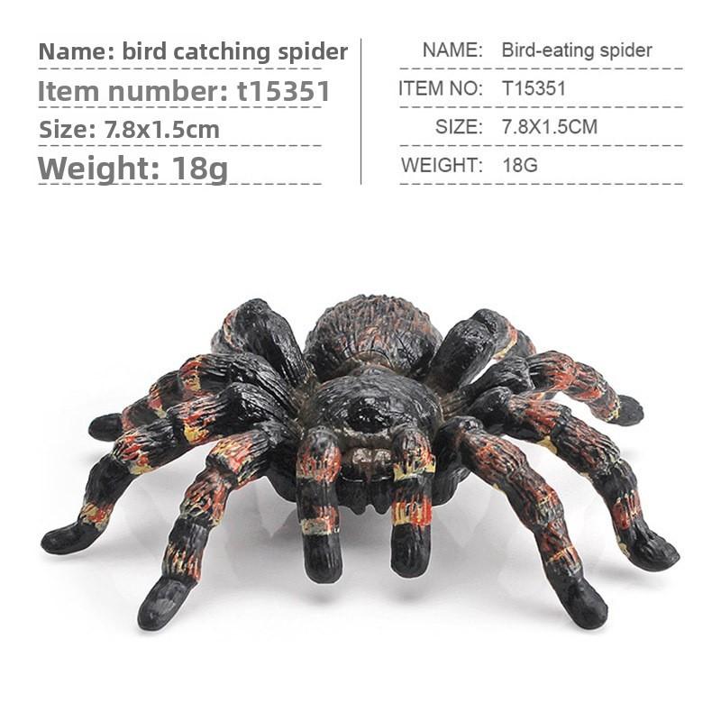 Spider Model Set With Plastic Material For Home Decor And Gift For Nature Lovers