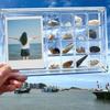 17Grids Acrylic Seashell Display Box Shell  Starfishs Trinket Storage Case Clear Mini Beach Stone Storage Box With Photo Frame
