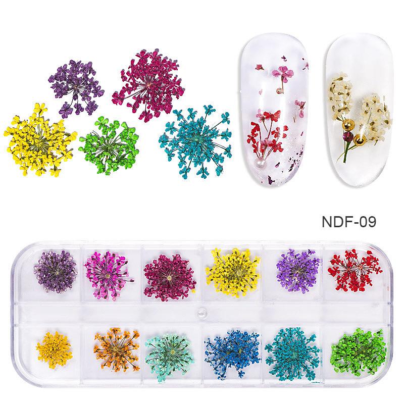 1Box Dried Flowers Dry Plants for Rsein Molds Fillings Epoxy Resin Pendant Tweezers Jewelry Making Craft DIY Nail Art Decoration