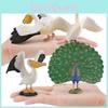 Pelican Pvc Wildlife Figurine With Educational And Collectible Features For Kids