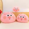 Süßes Schwein Plüschkissen mit superweichem Kurzplüsch für Mädchen, Heimdekoration und Geschenk