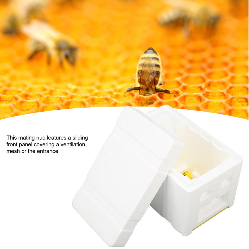 Foam Queen Box Bee Mating Foam Beehive Queen Cage Mini Queen Rearing Boxes for Beekeeping