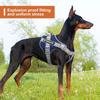 Puppy Harness for Dogs Accessories Dog Supplies Collars Harnesses Leashes Big Dog Leash Pet Collar Small Pets Things