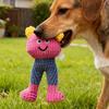 Dog& Squeaky Chew Toys-Soft Yarn Plush &Long Leg Baby Dog and Catnip Toy with Squeakers & Crinkle Paper Gift for Small